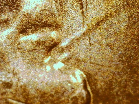 2023-D-LSC-Penny-/-Smoking-Abe-/-PMD?