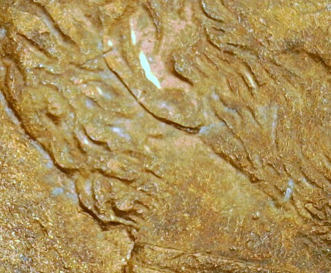 1995-D-LMC-Penny,-Possible-New-DDO-?