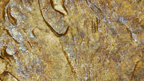 1995-D-LMC-Penny,-Possible-New-DDO-?