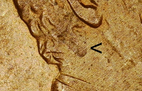 1997-D-LMC-Penny-/-Strange-Obverse-/-Thoughts?