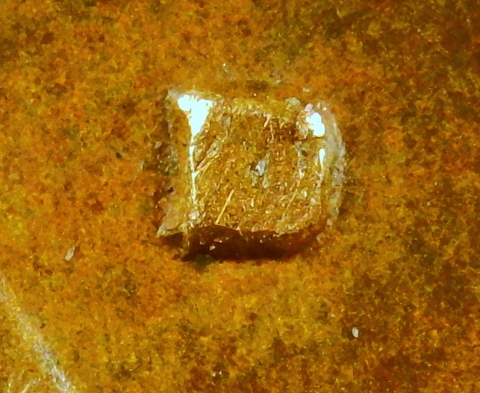 1979-D-LMC-Penny-/-False-RPM