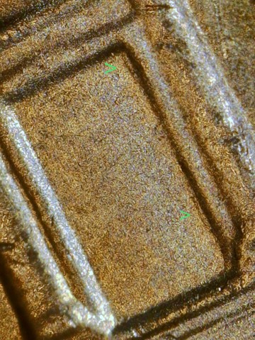 2023-P-Jefferson-Nickel-DDR-/-Think-I-Need-To-Send-This-One-Out