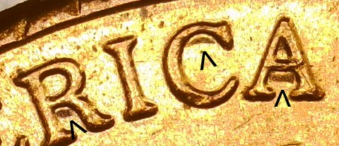 2021-P-LSC-Penny-/-DDR-?