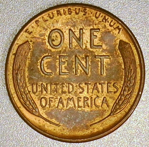 1955-Wheat-Cent-/-Poor-Man's-DDO-With-Cracked-Skull