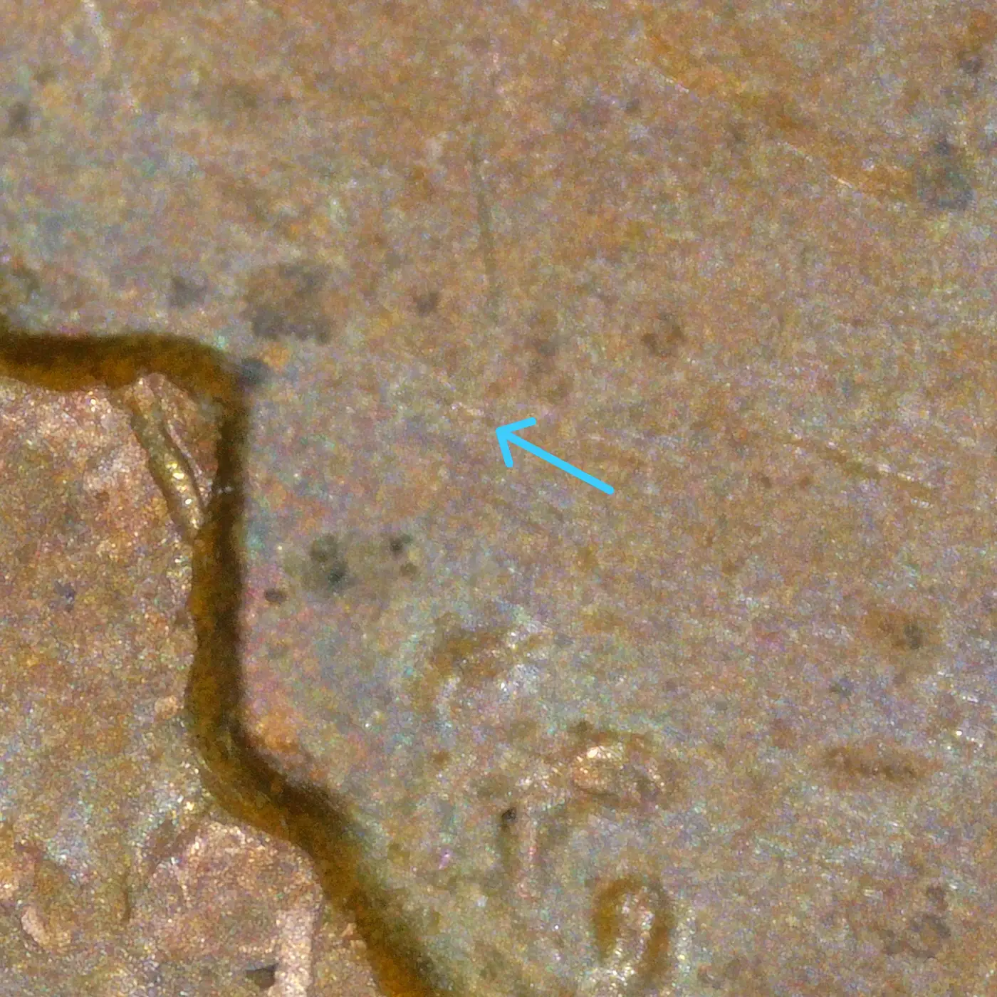 1972-LMC-Penny-/-Possibly-WDDO-013