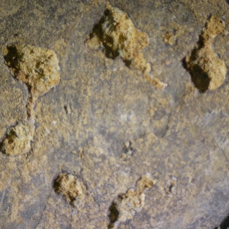 19?-LMC-Great-?-Example-Of-Zinc-Rot