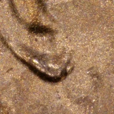 2024-LSC-Penny-/-WDDO-001