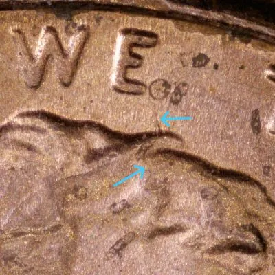 2024-LSC-Penny-/-WDDO-001