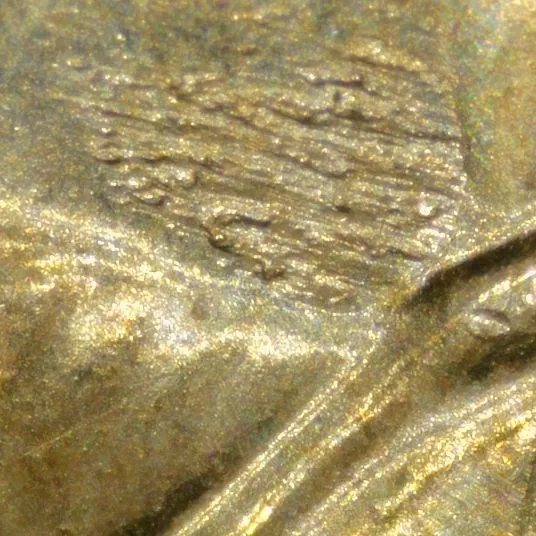 2008-P-Presidential-Dollar,-A-Jackson-/-Field-Restricted-Struck-Through,-Hubbed-In-Debris-?