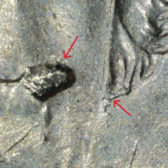 2015-P-Jefferson-Nickel-/-Extreme-Field-Restricted-Struck-Through-/-Grease-Error