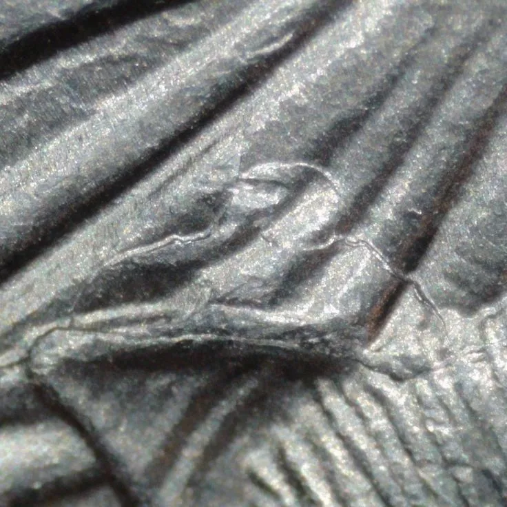 2020-P-American-Somoa-Quarter-/-Retained-Interior-Die-Break