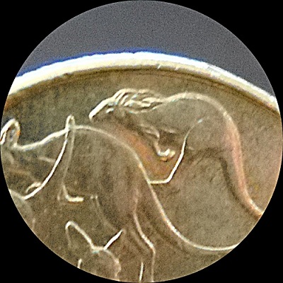Noodling-Find-Of-The-Week?