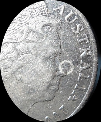 Noodling-Find-Of-The-Week?