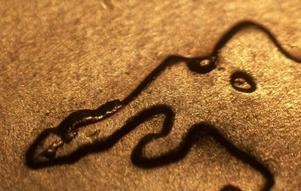Wyoming-State-Quarter-Reverse-Die-Crack-Or-Extra-Metal?