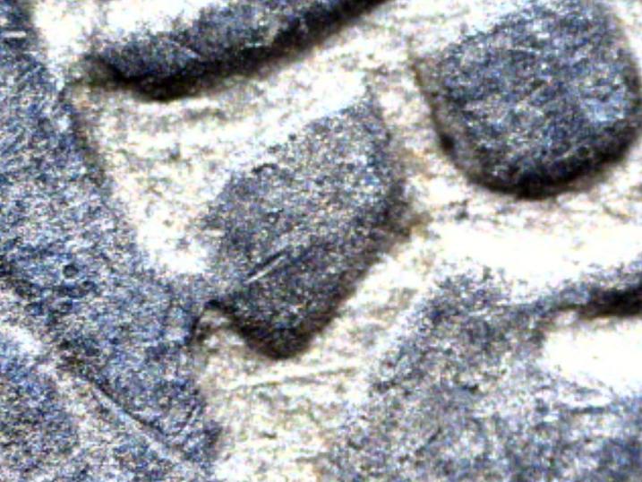 1886-P-VAM-19-Variation?-Update---VAM-23