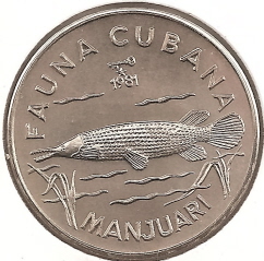 Fish-Coins