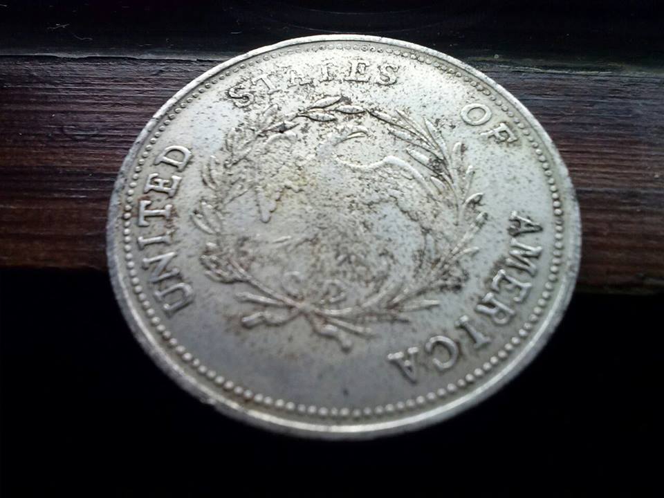 1795-Flowing-Hair-Dollar-Values-Price?