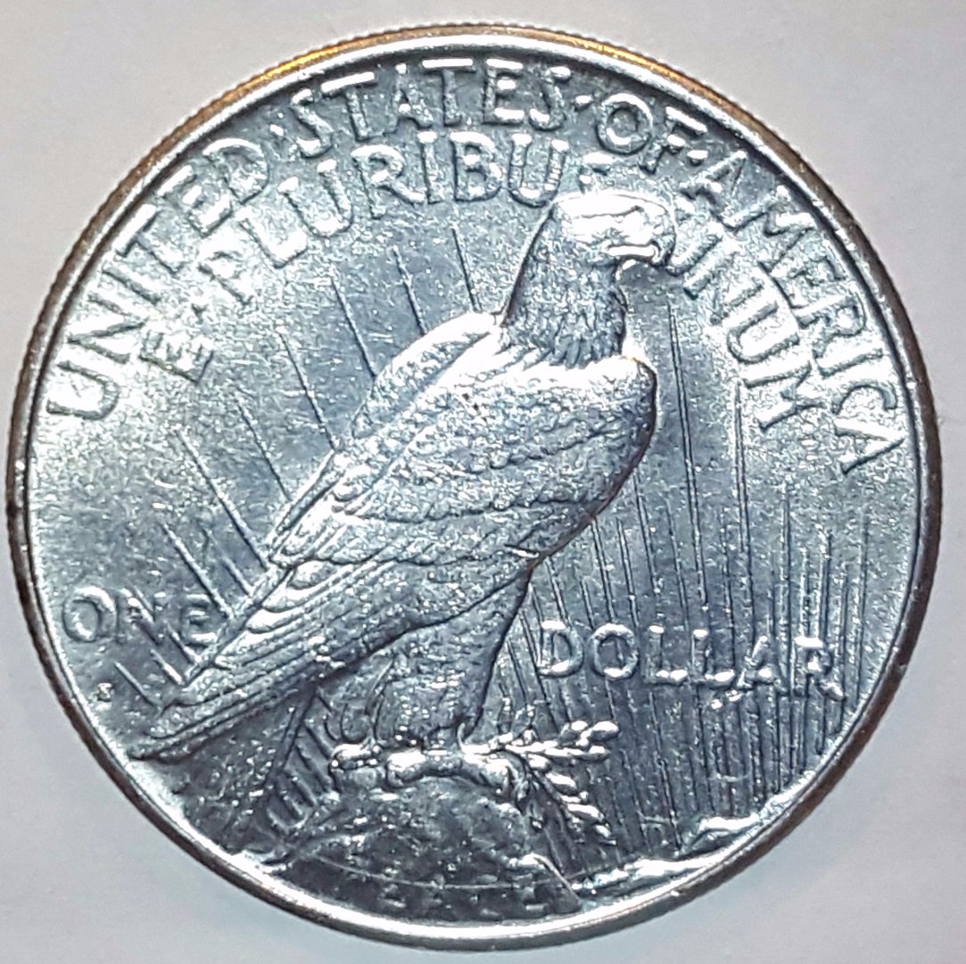 Grading-This-1934-S-Peace-Dollar