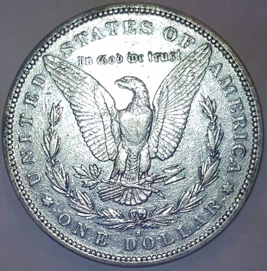 Grading-This-1884-S-Morgan