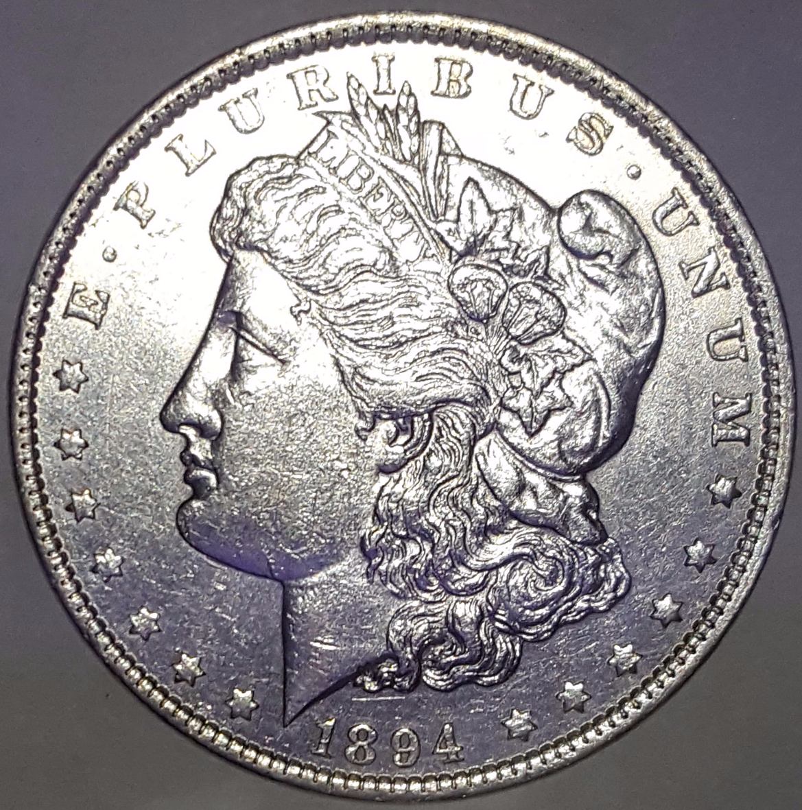 Grading-This-1894-Morgan