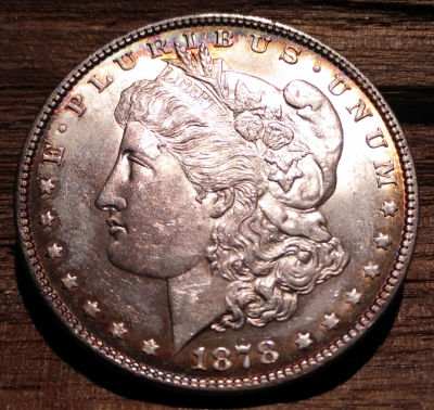 Please-Help-Grade-1878-S-Morgan-Dollar