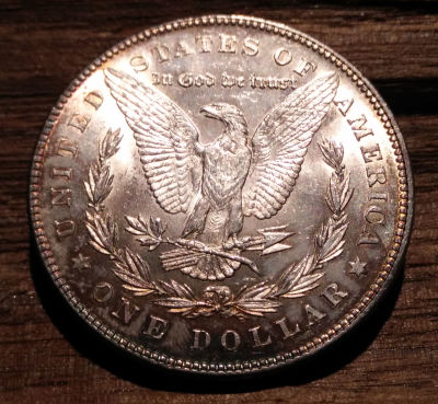 Please-Help-Grade-1878-S-Morgan-Dollar