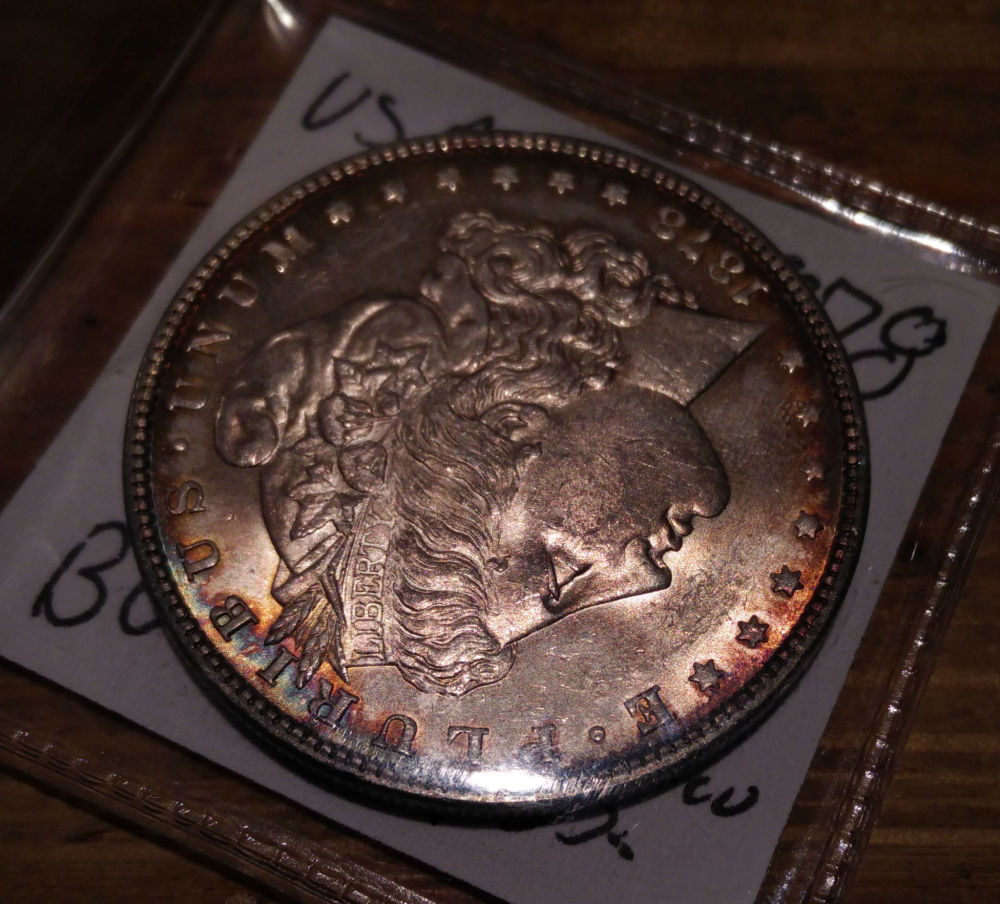 Please-Help-Grade-1878-S-Morgan-Dollar