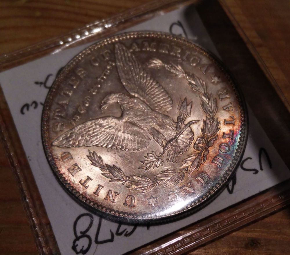 Please-Help-Grade-1878-S-Morgan-Dollar