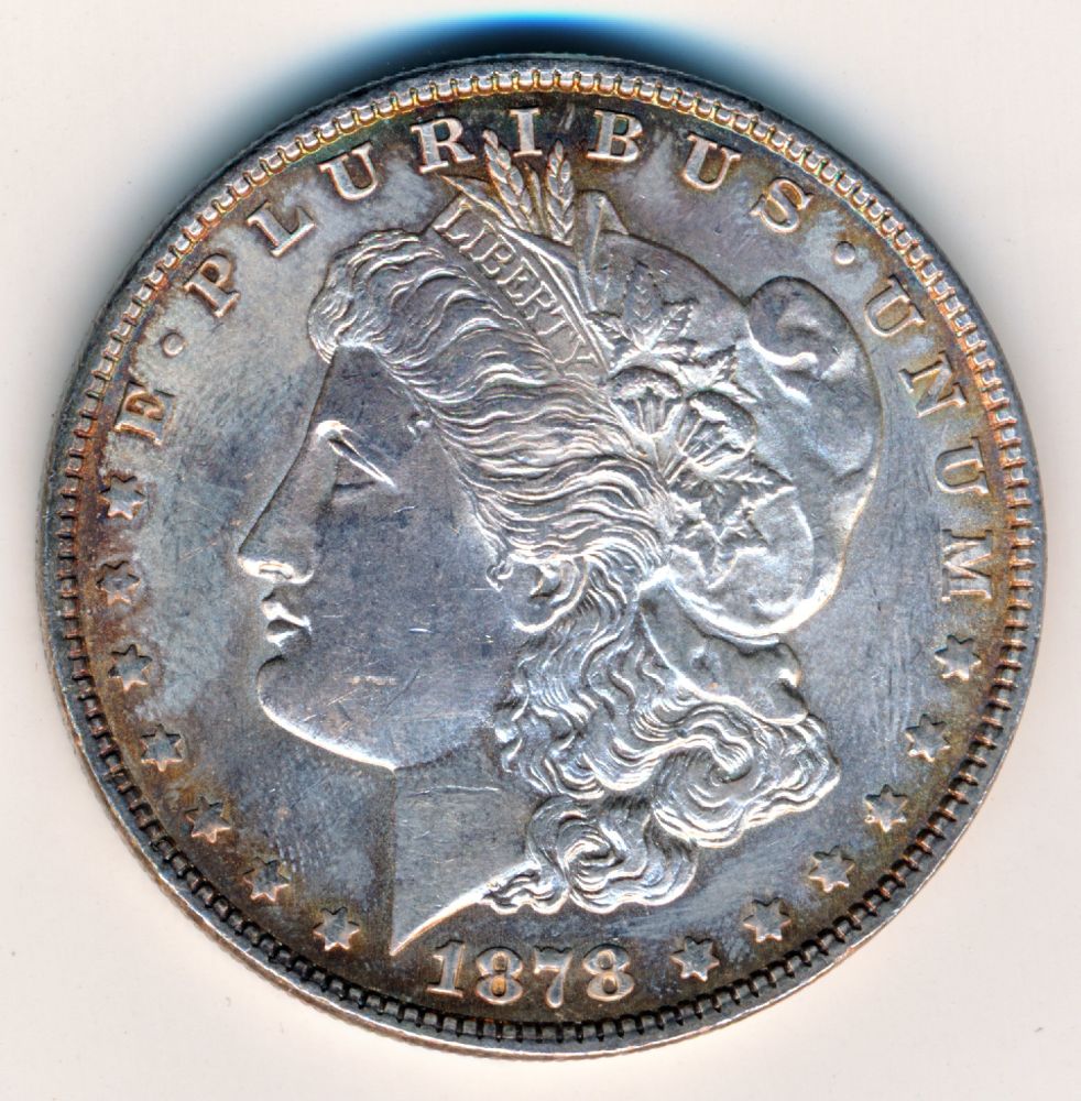 Please-Help-Grade-1878-S-Morgan-Dollar