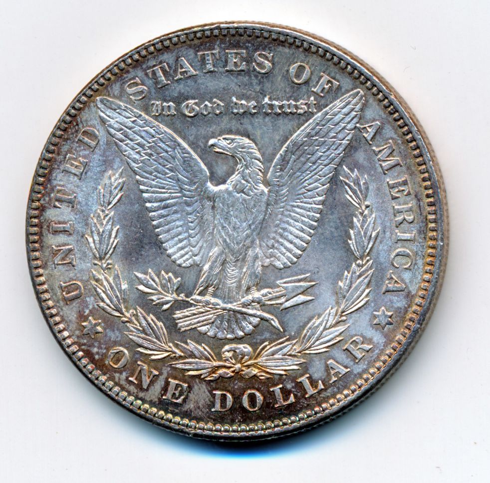 Please-Help-Grade-1878-S-Morgan-Dollar