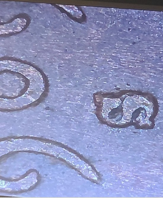 1909-S-Weak-VDB/-S-Over-S