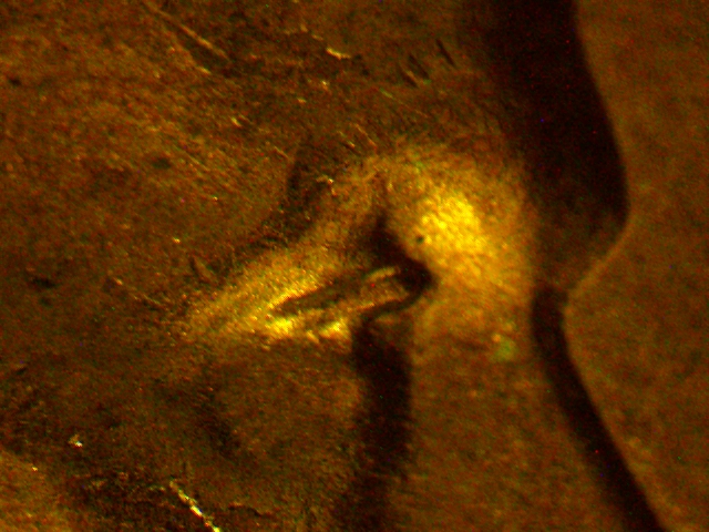 1952-D-LWC-Possible-RPM-&-Doubled-Eye?