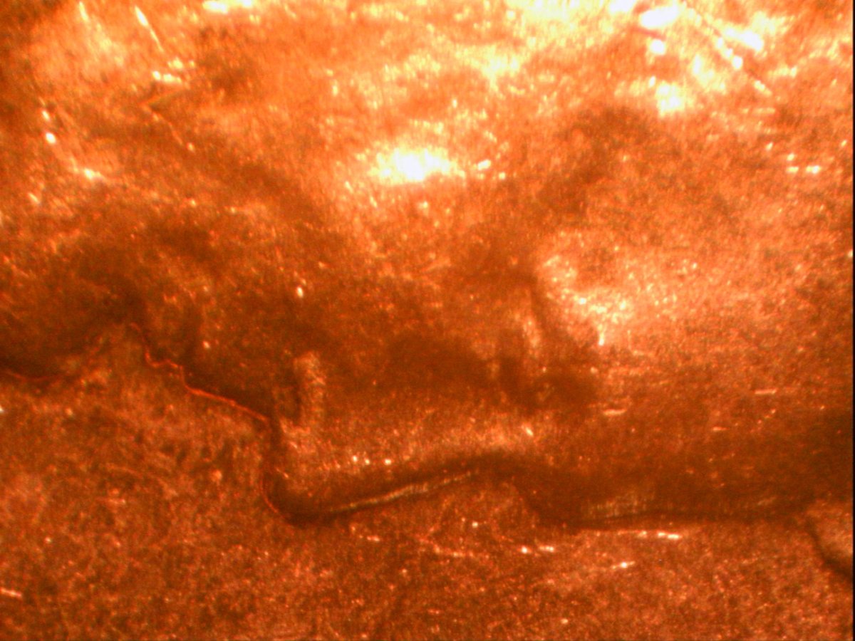 1960-D-LMC-Large-Date?--Possible-RPM-&-OMM?-Doubled-Die:profile-&-Eye?