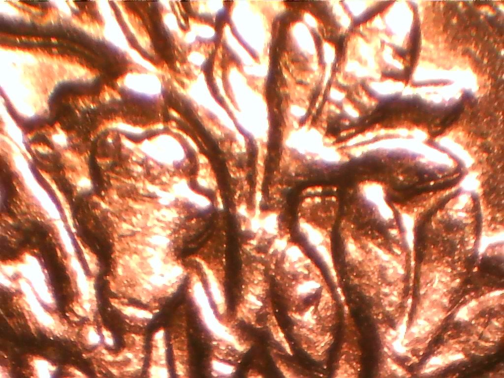 1989-ASE---Could-These-Be-DDO-Face-&-Bouquet-Or-MD