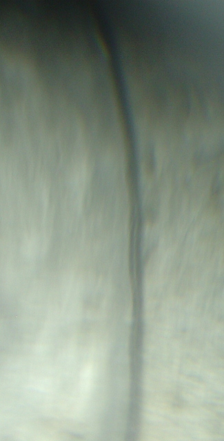 1881-S-Morgan-Dollar-VAM-22-Help