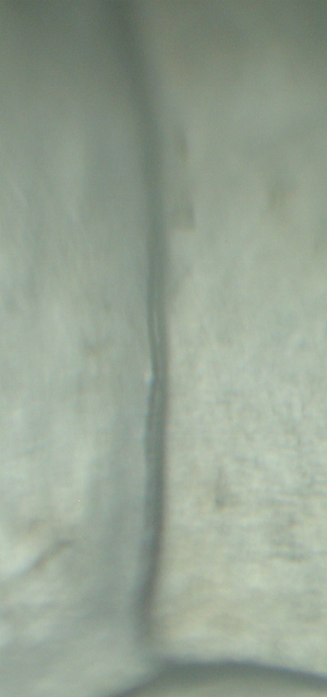 1881-S-Morgan-Dollar-VAM-22-Help