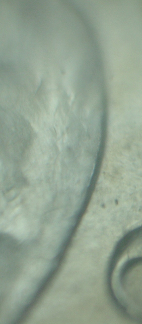 1881-S-Morgan-Dollar-VAM-22-Help
