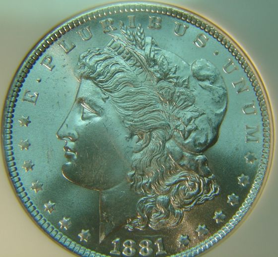 1881-P-VAM-It