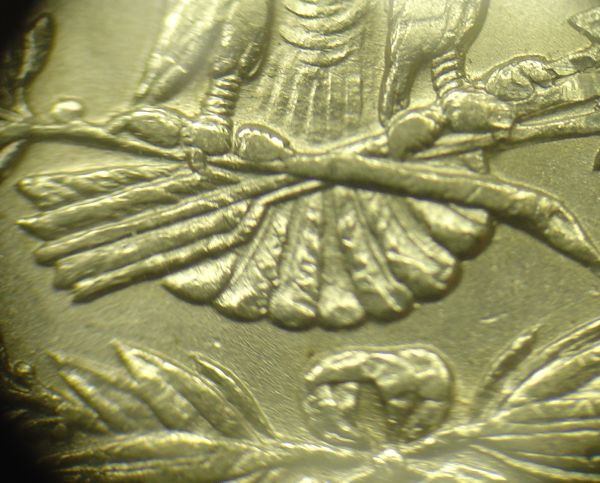 7/8-Tail-Feathers-Morgan-Dollars
