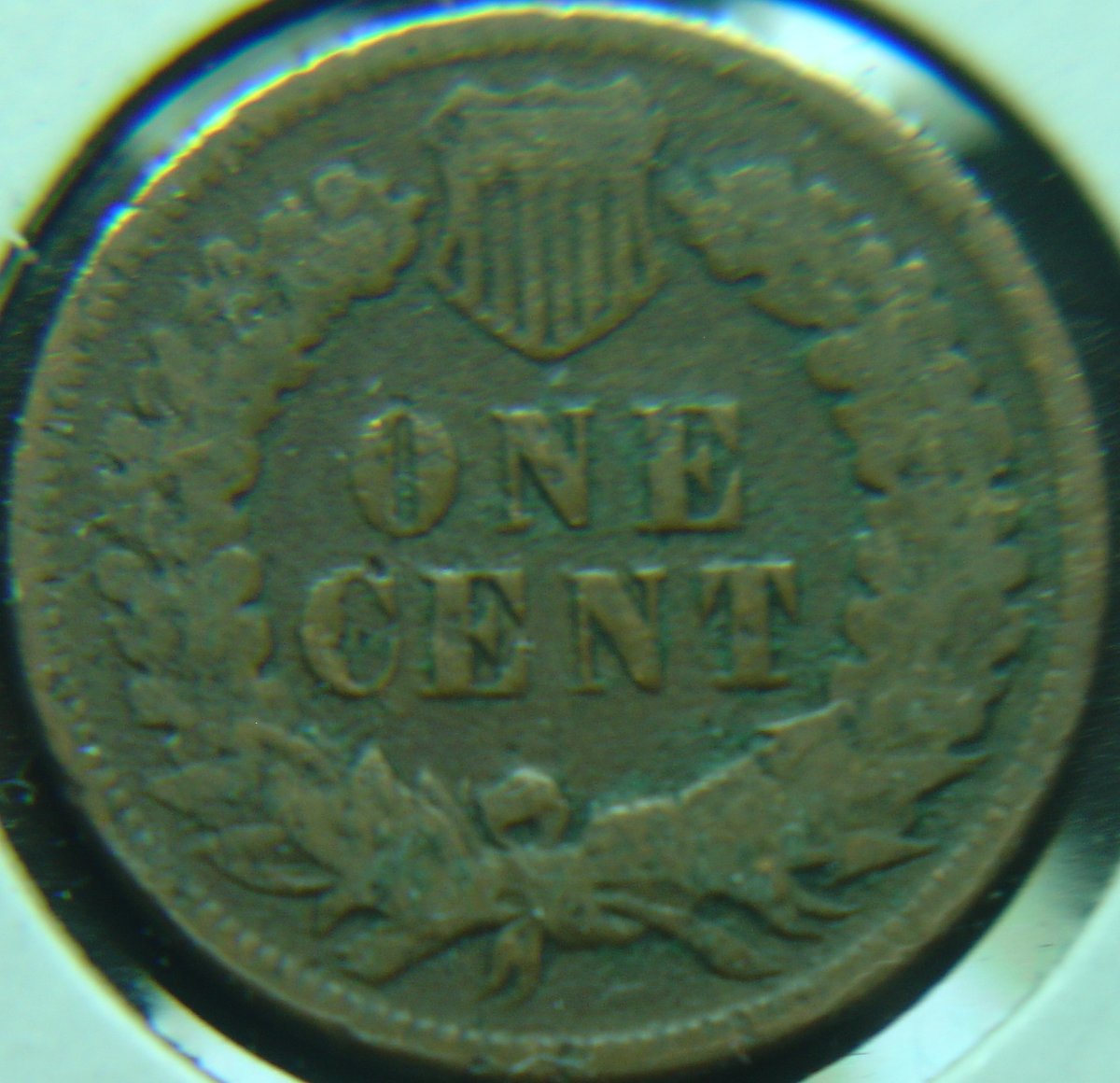 Indian-Cent-Monday-Post-Your-Pics.