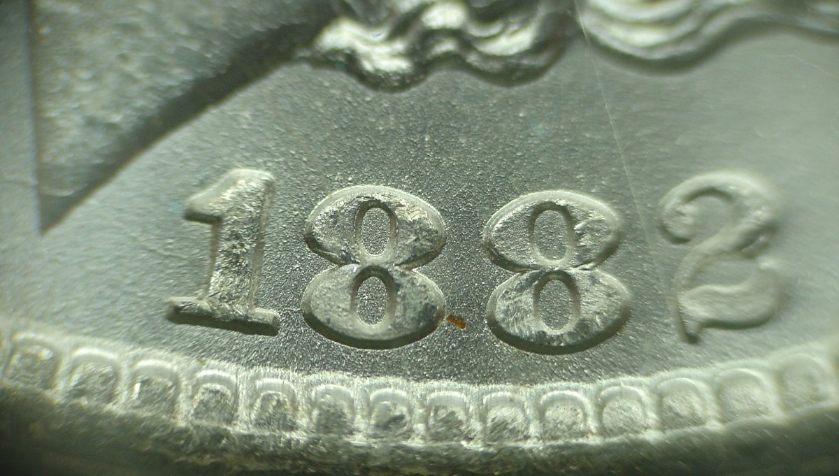 1882-CC-Morgan-GSA-VAM-Help-Needed