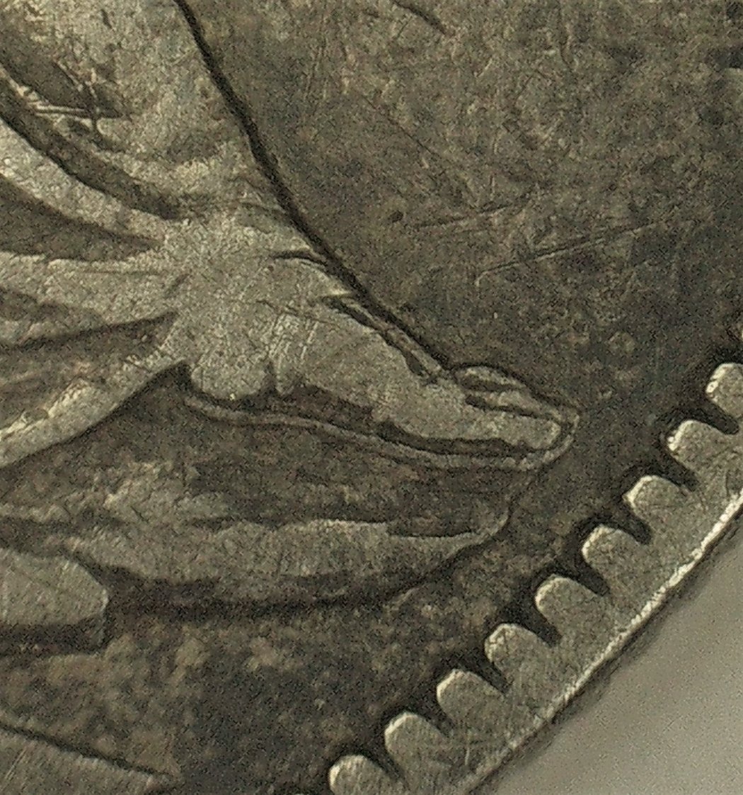 1853-O-Seated-Liberty-Half-A-&-R-Grade-&-Opinion