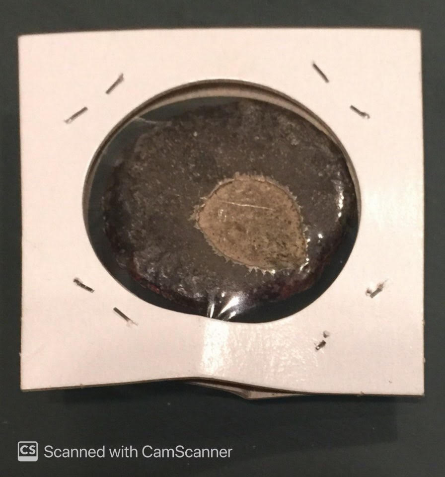 Help-With-Vietnamese-Coin-Or-Token-Id:-17th-18th-Century-Burma-Eastern-Toks-Of-Nam,-40-Tamlung