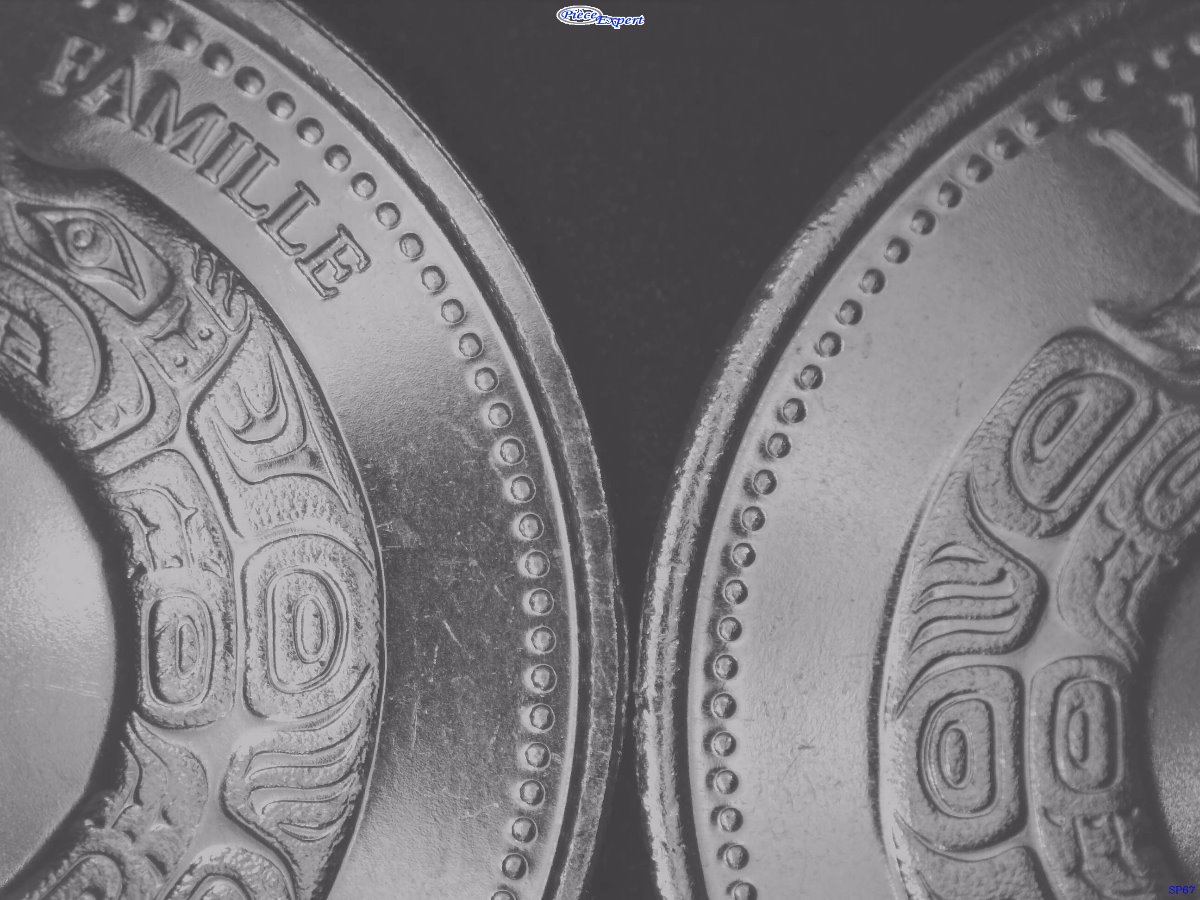 25-Cents-2000-Family-With-Collar-Chips