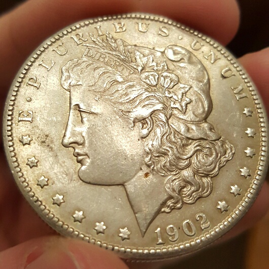 Update-On-My-1902-S-Morgan,-Rim-Nick.-New-Picture-Of-The-Rim.