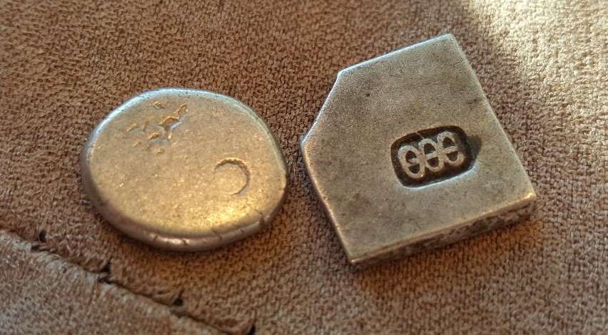 Ant-Nose-And-Punch-Marked-Indian-Coins.
