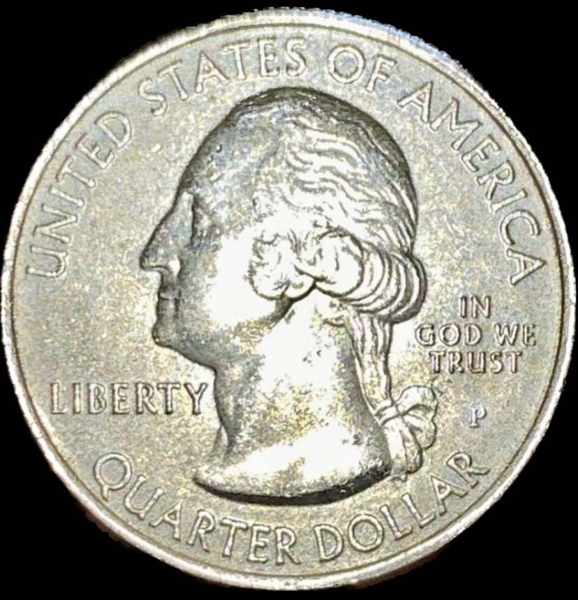 What-Do-Ya-Think?-2010-P-Washington-Quarter-Yellowstone