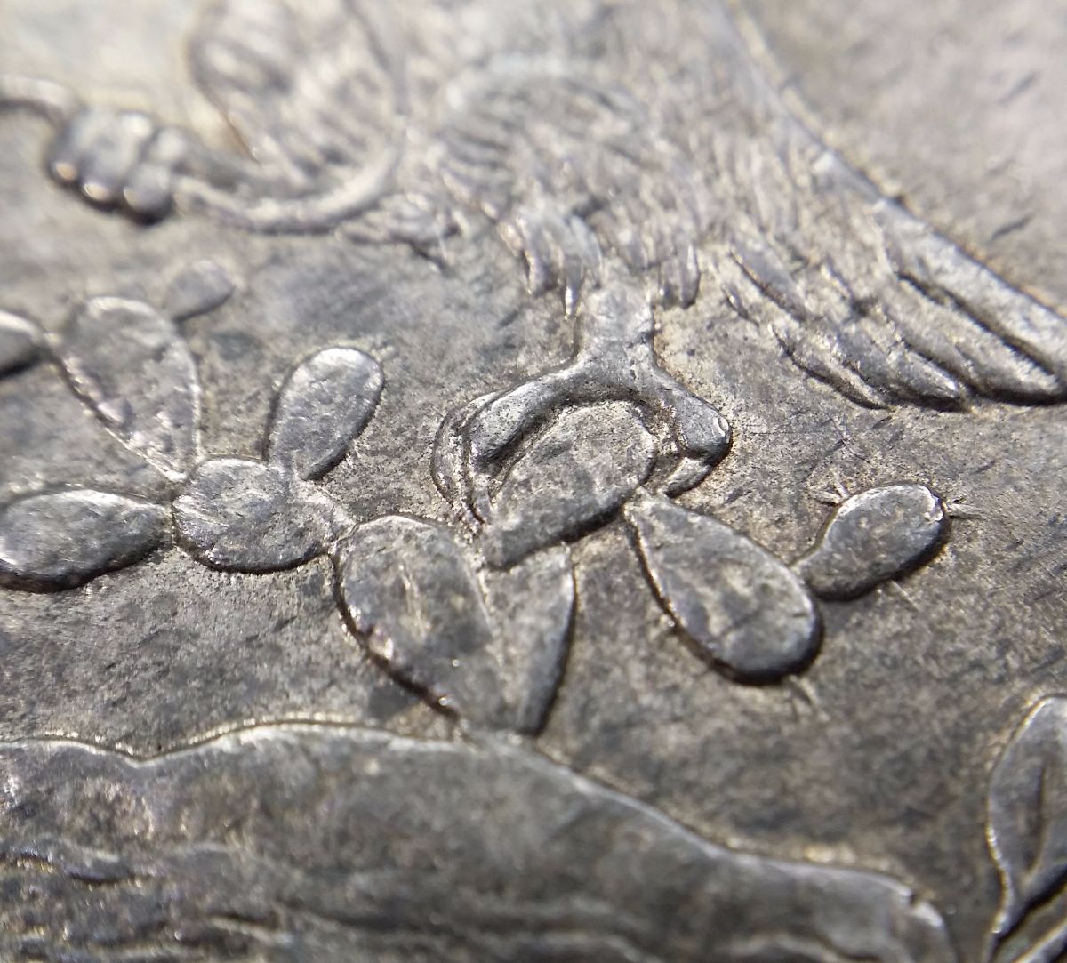 1841-And-1875-Cap-And-Rays-8-Reales-Authentication-Assistance