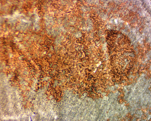 1995-D-Nickel-Redistributed-Copper-Or-Alloy-Issue