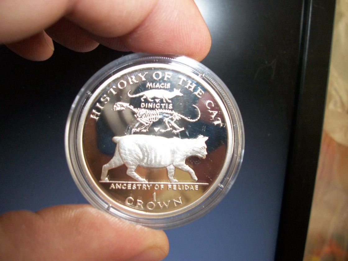Post-Your-Coins-Representing-The-Animal-Kingdom.